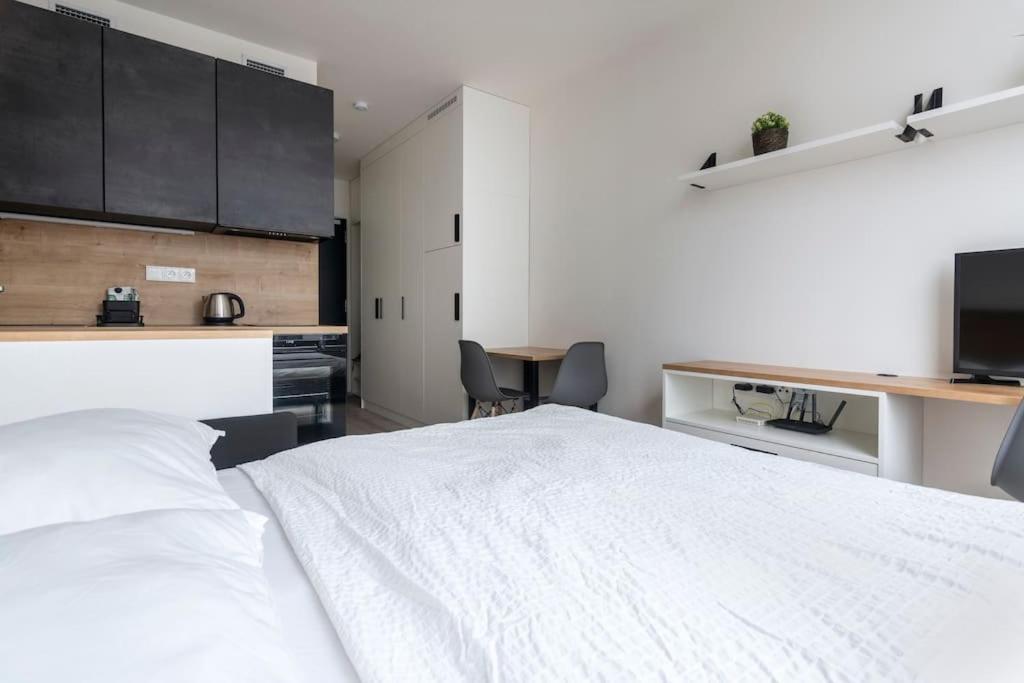 Tiny Flat, 1gb Wifi, Smart Tv, Air Condition Prague