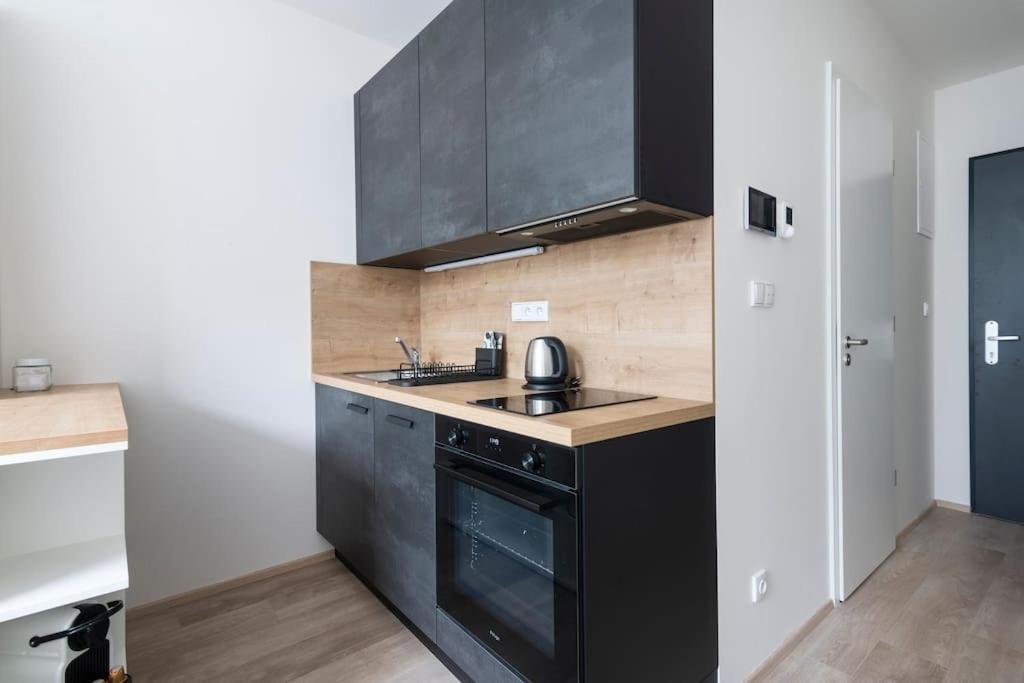 Tiny Flat, 1gb Wifi, Smart Tv, Air Condition Prague